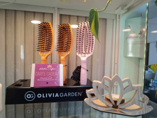 481320442_1191750642663290_4369304863194634265_n