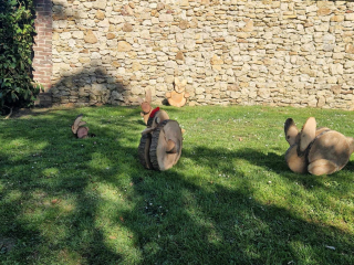 481674086_2145176492597004_5717554367169405272_n