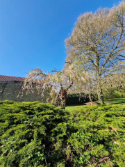 486724870_1175127627583636_4687947923201135066_n