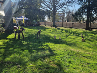 486745906_573592078404551_8506294748680450652_n