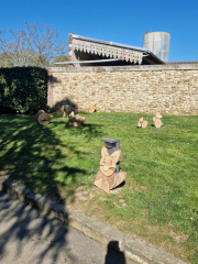 487146853_996226422466391_4309896228641637316_n