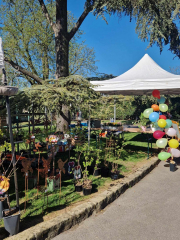 487456407_1773333289894106_6987450951462490016_n