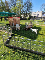 487838732_575571298173423_4153625351435118787_n