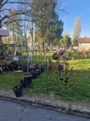 487840856_999740925122453_7868840230567093847_n