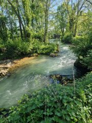 225c1ae0-80f2-4119-ae4d-1a2c6ea3134d