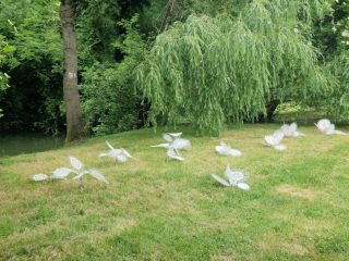 5cef3fc6-030f-462a-861e-4e86568812f2