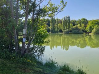 9aeb1221-b14a-42a5-9279-9ee3bfea21c4