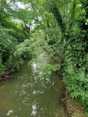 abd24be4-ec46-4714-9692-b3e79b8145af