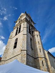 c3a6e552-6cd7-4e89-ad87-409c728f14f8