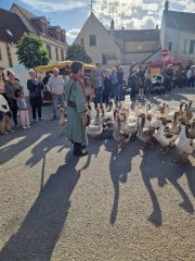 d449fd24-ee2e-46f0-bc7d-dff663d32b1d