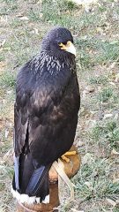 Messenger_creation_8CB17C6D-5F0C-4EDE-BDE4-010D5C16B924