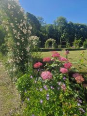 f4d07489-a4dd-4133-9906-579e49265824 (1)