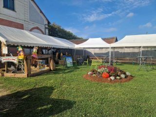 08c5598e-cf86-48e3-84ba-b7fd5e5ca307