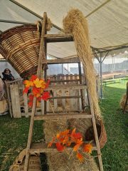 1cb492a9-28c1-4008-b4e9-37370303ad15