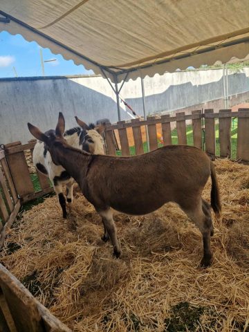 374deab7-8de3-444e-ac60-f0a4ba0fc775