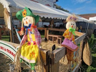 69b8d874-2677-4373-b161-32f384933514