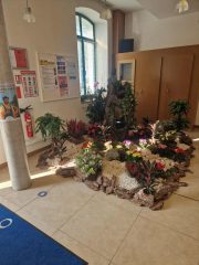 9b39dbeb-1e9a-41fa-9db1-993de653e7ab