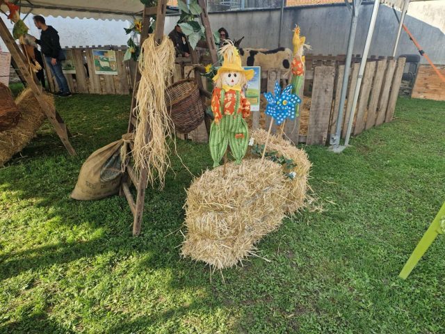 d59c8296-80b3-41bd-8c8b-c5a6b7bf313e