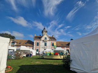 e98f3ee3-9289-4339-b58f-b56a843eeeef