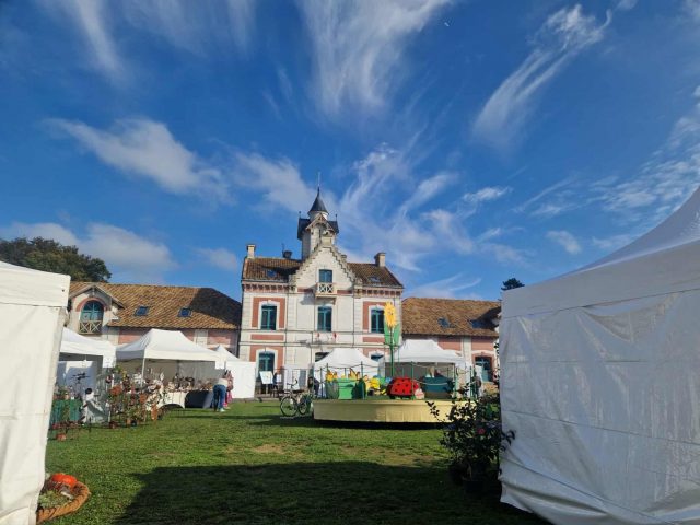 e98f3ee3-9289-4339-b58f-b56a843eeeef