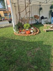 f764d91a-05fe-4605-99e0-7fbe133fccac