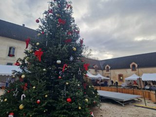 e58abfc6-52f9-44d6-8947-35b7360c1a64