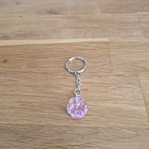 R/porte clés pattes de chat feuilles roses feuilles cuivrées